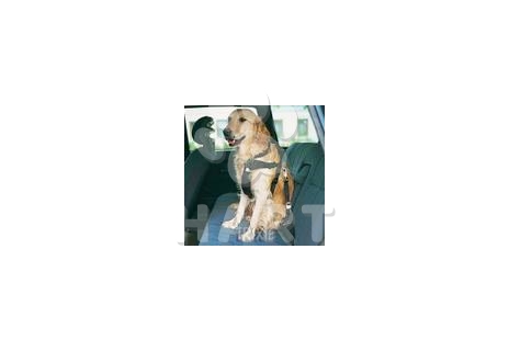 Postroj pro psa do auta M (50-70cm obv.hrudníku)