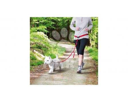 Pás/opasek na běh s pružným vodítkem/souprava pro běh se psem vel.S-M (malé a střední rasy)